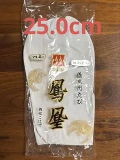 Item thumbnail for item 4593dc65-f1c3-4d69-9b16-d0dea9f32652