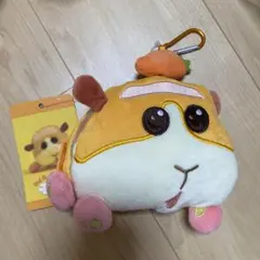 モルカー　パスケース