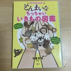 どんまいなちっちゃいいきもの図鑑