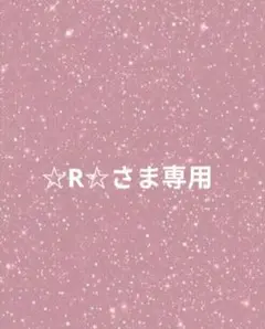 ☆R☆さま専用