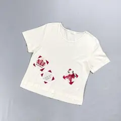 ポテチーノ 立体アップリケステッチTシャツ カットソー 白 F*BD975