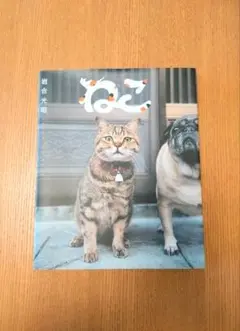 「ねこ」 岩合光昭