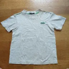 【美品】Caldia グレー Tシャツ120- 130