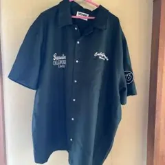 Item thumbnail for item 3c6a8466-a565-43f2-b474-b4e0d0abc001