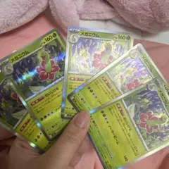 メガニウム ホロカード 5枚セット