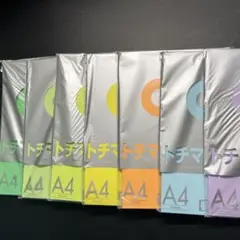 トチマンOA用紙　多色