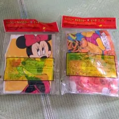 ディズニーキャラクター 浮き輪
