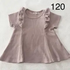 ラプチリリー　La petit Lilly 半袖　Tシャツ　120 ピンク