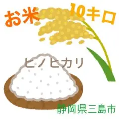 米 ヒノヒカリ 農家直送 ノーブレンド 精米 玄米 7分付き など 10キロ
