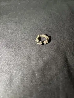 Item thumbnail for item bd74db7a-6614-49ab-a738-882d798d7d77