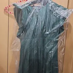 Item thumbnail for item f33e161d-4fbe-4f30-a64f-d307fdfef4c8