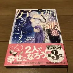 婚約破棄されたので、好きにすることにした。(3)