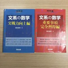 文系の数学 赤と青 ⚠️商品説明をよく読んでからご購入お願い致します。