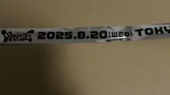 CRフェス 2025 銀テープ 銀色　1本　CRFES