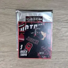 オリックス・バッファローズ　夏の陣　ミニ色紙　野口智哉　9