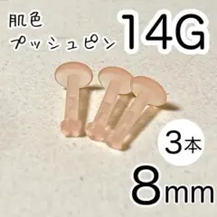 Item thumbnail for item 689fa6b2-5b2b-4a4b-813e-79eeb20550c1