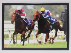 競馬.グラスワンダー.アーネストリー.パネル.喝采は受け継がれる