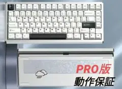 WOB Rainy75 Pro ギャラクティック シルバー 新品