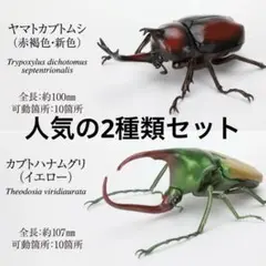 いきもの大図鑑　かぶとむし09 ヤマトカブトムシとカブトハナムグリの2種類セット
