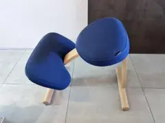 バランスチェア　バランスラボ　カタログハウス