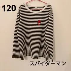 スパイダーマンロン 120