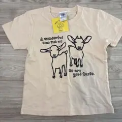 石垣島Tシャツ 120サイズ