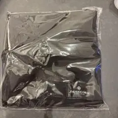 Item thumbnail for item 1591e297-ac97-4f4a-b83a-93d6c27dbc40