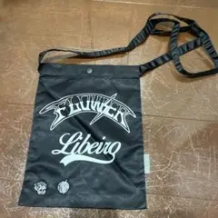 Item thumbnail for item b7093d58-9d4c-4af6-b201-618f5b3f1482