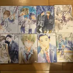 消えた初恋 2〜9巻　　8冊セット