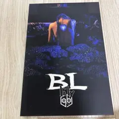 女王蜂　BL CD