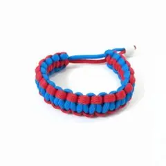 Item thumbnail for item ed79263f-343d-4446-be41-4263cf4bda4b