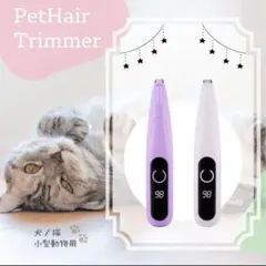 Item thumbnail for item 40a2fd47-f2ec-43ff-a5d8-e0fd65058218