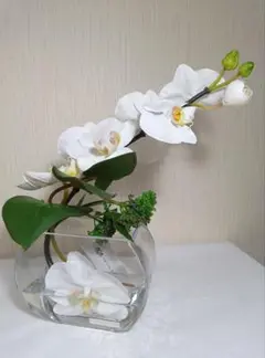 Item thumbnail for item c6d4266d-d2c3-4c7d-bc7d-eddf2b70a0a9