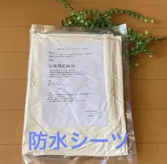 Item thumbnail for item 8e970326-c832-4e39-8fda-13a6d67afb63