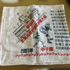 2001年全国高校野球選手権大会　記念タオル
