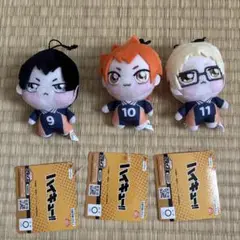 ハイキュー!! ちょぴぬいぷち① 全3種セット