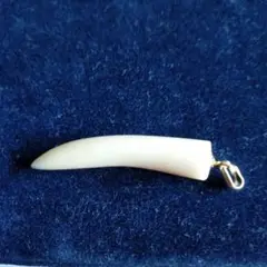 鯨歯　マッコウクジラ　牙玉　約15.5㎜　① 鯨歯 マッコウクジラ 彫刻・印材・根付用 745g 高価買取しました