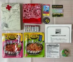 多数おまけ付き 浅野忠信 BUNCH 画集