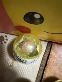 ポケモン めじるしアクセサリー2