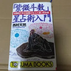 【最安値】紫微斗数星占術入門