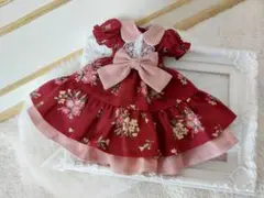 116♡ネオブライス アウトフィット♡