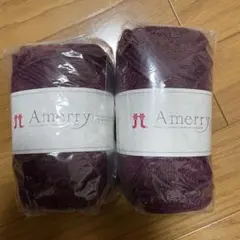 【新品未使用×匿名発送】ハマナカアメリー2玉Set／色番19