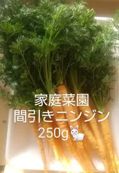 Item thumbnail for item f1adc25f-1ee6-4a08-8274-d61a928cf67f