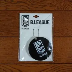 Bリーグ☘️スライドミラー