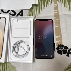 iPhone12