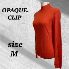 Item thumbnail for item 1ebba321-78fc-41db-ae75-12dd90c6aff6