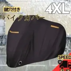 Item thumbnail for item cd6b5e3a-9ff3-4e8c-880c-51fdeb4fadd6