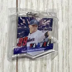 ヤクルトスワローズ　ヤフーレ選手　キーホルダー