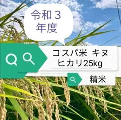 【最終セール】キヌヒカリ25kg 精米仕立したてを届けします。美味しいお米です。
