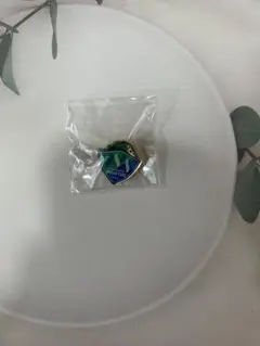 木下マイスター東京　ピンバッジ
